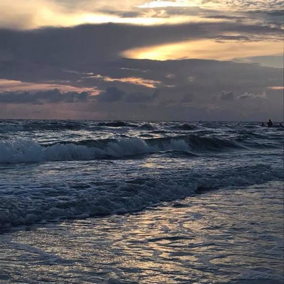 Meet your Posher, Savannah - Picture 1 of 1